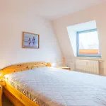 Hanse-hof, 18 *